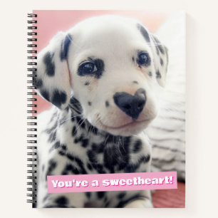 Dalmatian Heart Nose Notebook