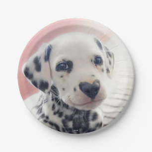 Dalmatian Heart Nose Paper Plate
