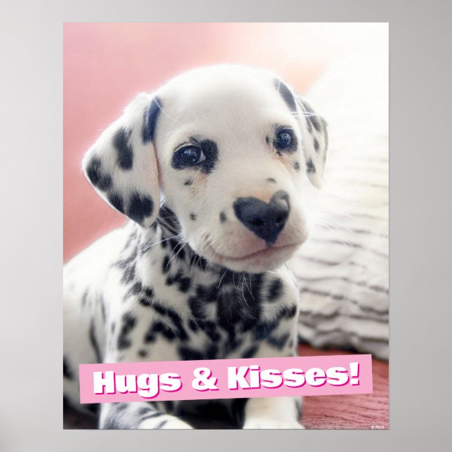 Dalmatian Heart Nose Poster (Front)