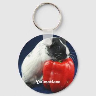 Dalmatian key chain