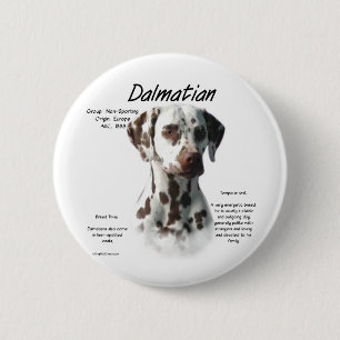 Dalmatian (liver) History Design 6 Cm Round Badge