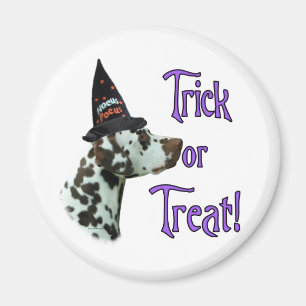 Dalmatian (liver) Trick Magnet