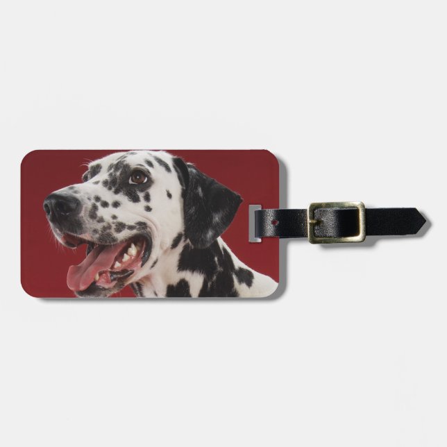 Dalmatian Luggage Tag (Front Horizontal)