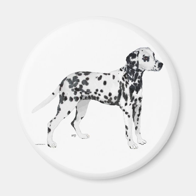 Dalmatian Magnet (Front)