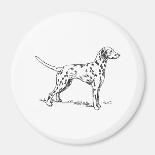 Dalmatian Magnet