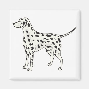 Dalmatian Magnet