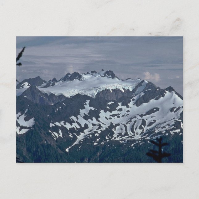 Dalmatian Mountains Postcard (Front)