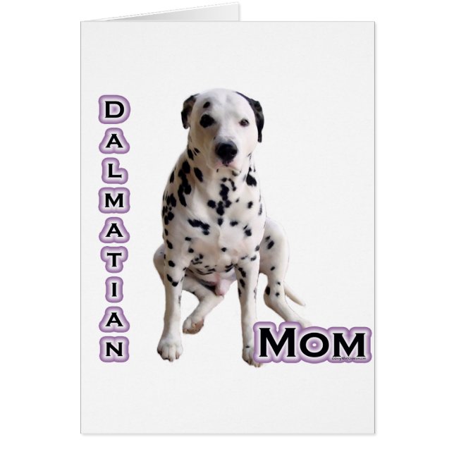 Dalmatian Mum 4 (Front)