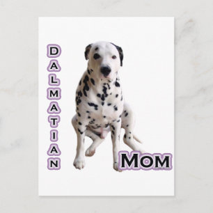 Dalmatian Mum 4 Postcard