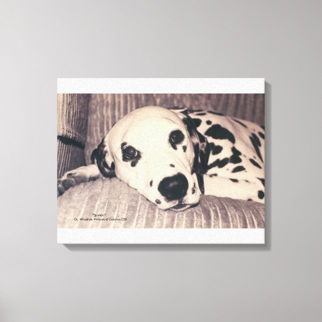 Dalmatian on a Couch -- Sparkler Canvas Print (Front)
