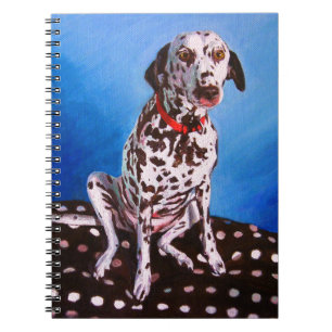 Dalmatian on spotty cushion 2011 notebook