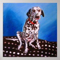 Dalmatian on spotty cushion 2011