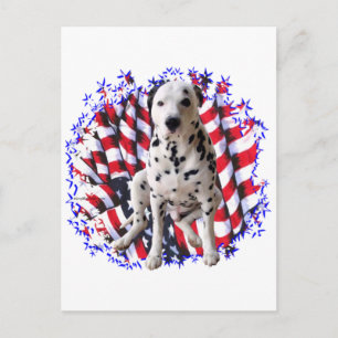 Dalmatian Patriot Postcard