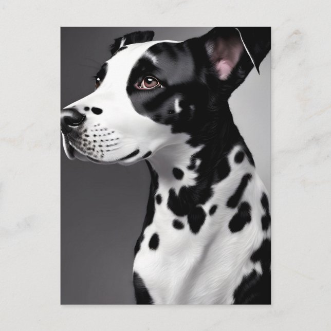 Dalmatian, Postcrossing Postcard (Front)