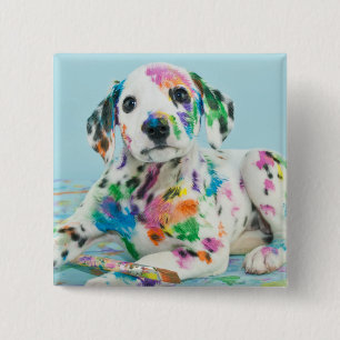 Dalmatian Puppy 15 Cm Square Badge