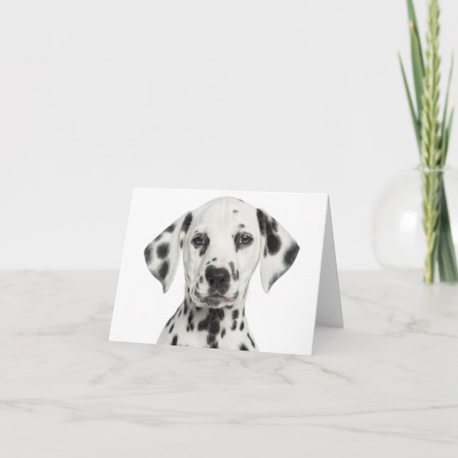 Dalmatian Puppy Dog Hello, Thank You, Love, Sorry Card (Front)