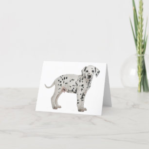 Dalmatian Puppy Dog Hello, Thank You, Love, Sorry Card
