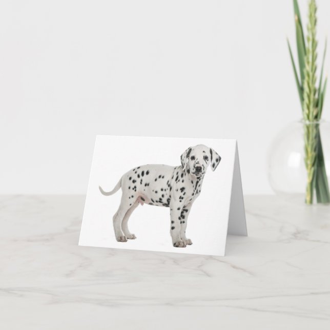 Dalmatian Puppy Dog Hello Thank You Love, Sorry Card (Front)