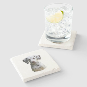 Dalmatian puppy dog photo stone coaster