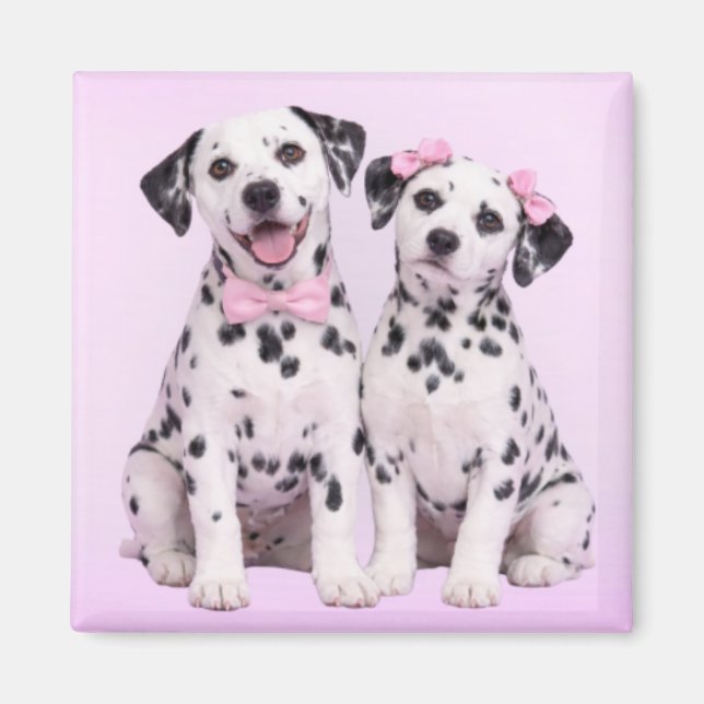 Dalmatian Puppy Love – Valentine Dog Couple Magnet (Front)