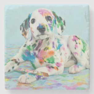 Dalmatian Puppy Stone Coaster