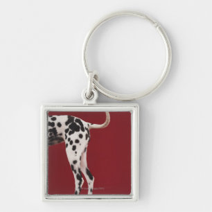 Dalmatian Rear Key Ring