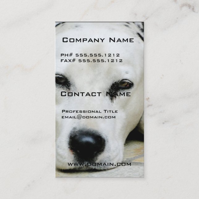 Dalmatian Resting Business Cards (Front)