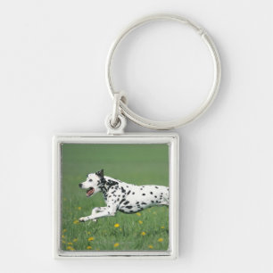 Dalmatian Running Key Ring