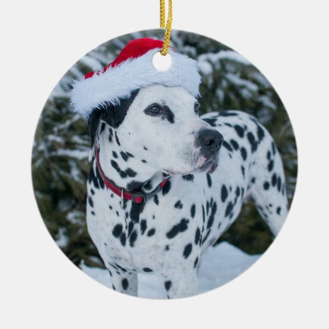 Dalmatian Santa Ornament (Front)