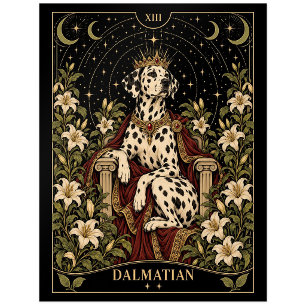 Dalmatian, Starlit Tarot Art Postcard