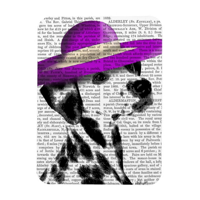 Dalmatian With Purple Wide Brimmed Hat Magnet (Vertical)