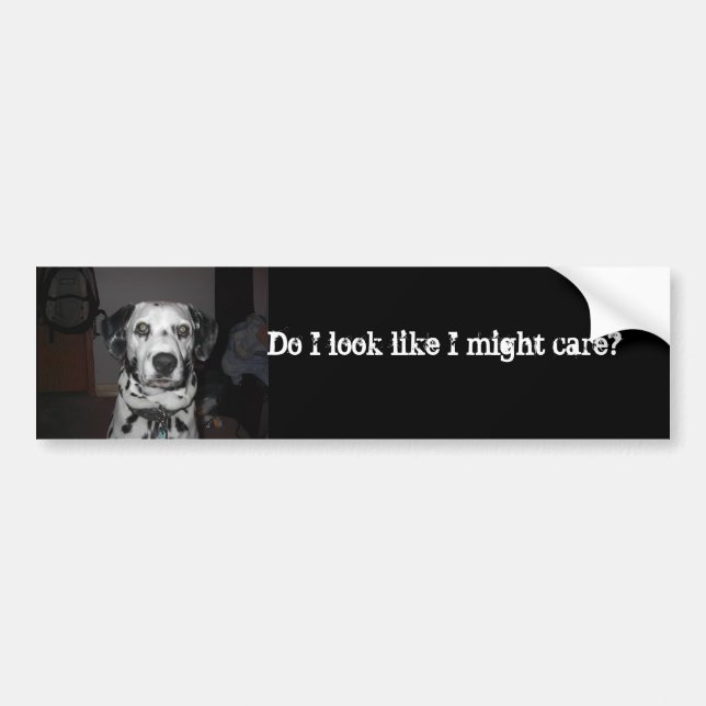 Dalmatians care bumper sticker (Front)