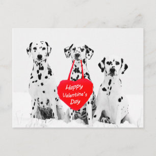 Dalmatians Dog Heart Happy Valentine's Day Holiday Postcard
