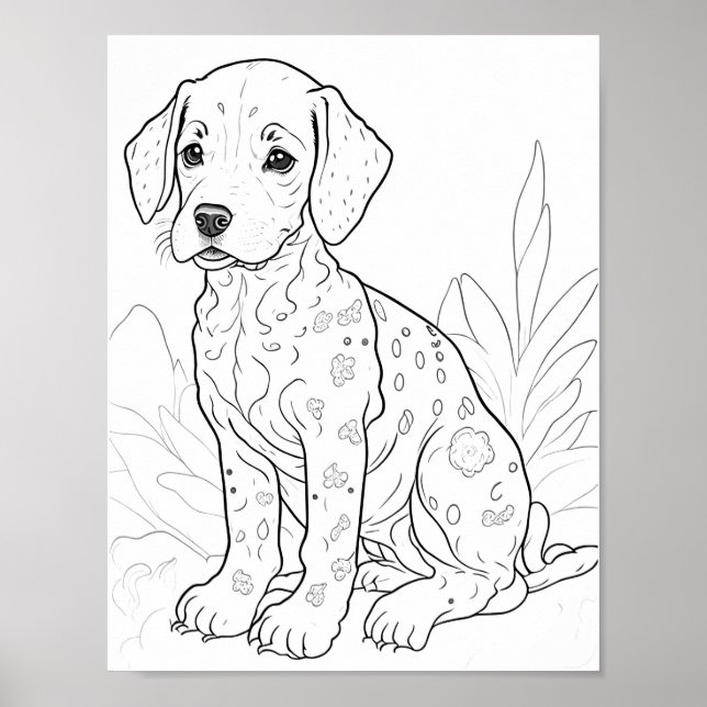 Dalmation Dog Adult Colouring Poster (Front)