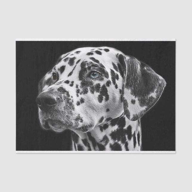 Dalmation Dog Black & White Decoupage Tissue Paper (Front)