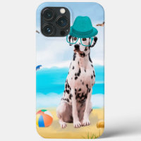 Dalmation Dog on Beach