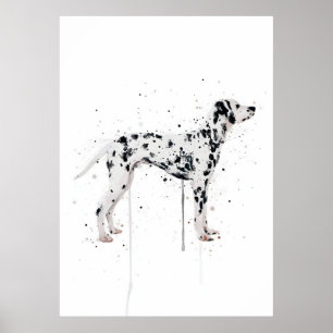 Dalmation Dog Poster