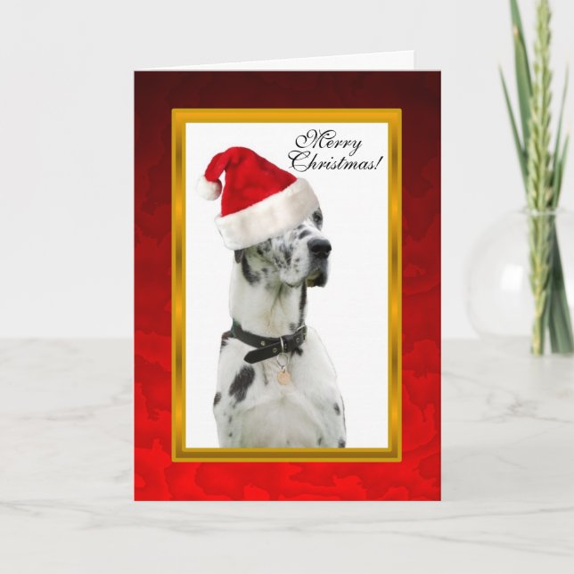Dalmation Dog Red Christmas Card (Front)