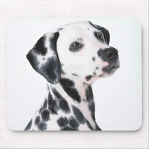 Dalmation Mouse Pad