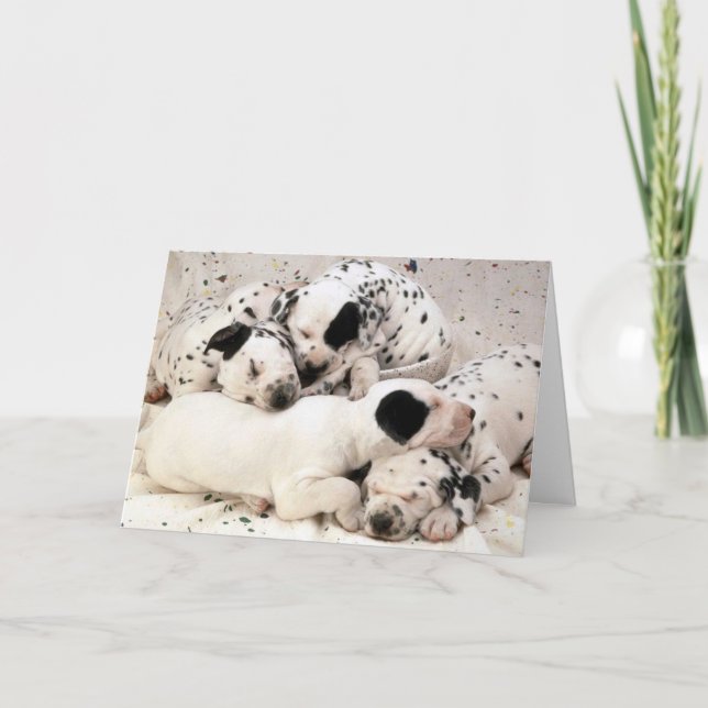 Dalmation_Puppies Card (Front)