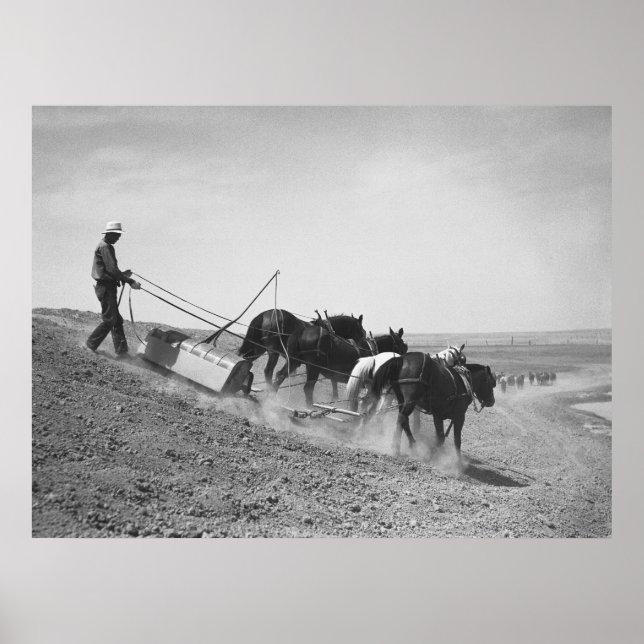 Dam Building: 1936 Poster (Front)