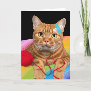 Damaged Cat on rainbow background Card