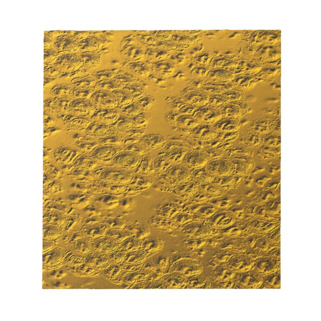 Damaged gold notepad (Front)