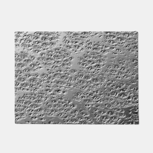 Damaged silver metal doormat (Front)