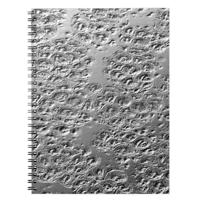 Damaged silver metal notebook (Front)