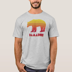 Damascus Virginia Rainbow Bear T-Shirt