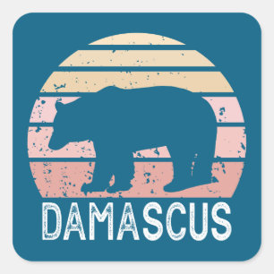 Damascus Virginia Retro Bear Square Sticker