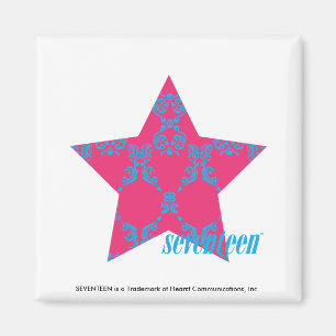 Damask Aqua-Magenta 2 Magnet