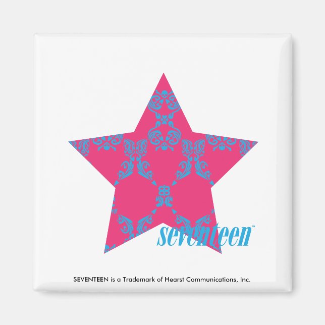 Damask Aqua-Magenta 2 Magnet (Front)