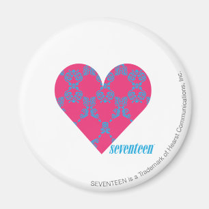 Damask Aqua-Magenta 4 Magnet